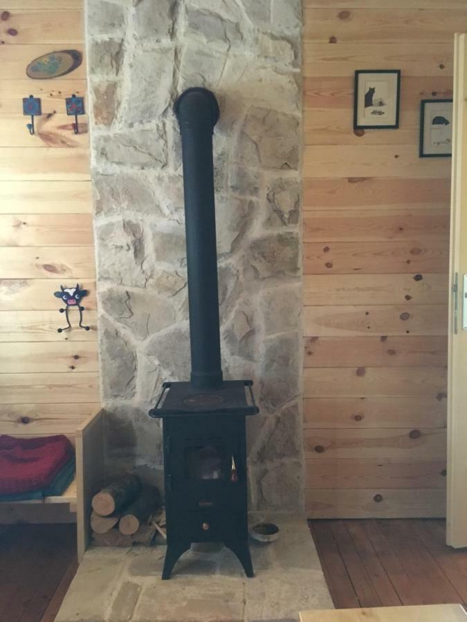Cozy Cabin Žabljak エクステリア 写真