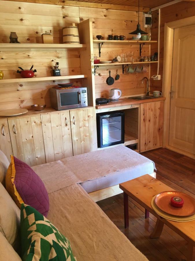 Cozy Cabin Žabljak エクステリア 写真